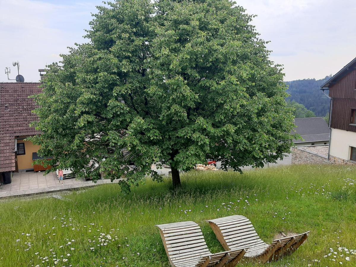 Na Budarce Paseky nad Jizerou Luaran gambar